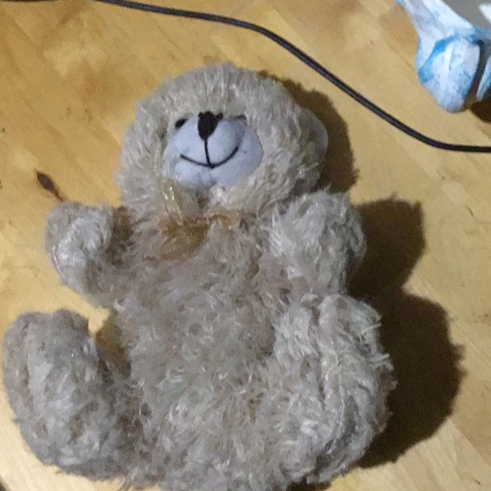 A teddy bear